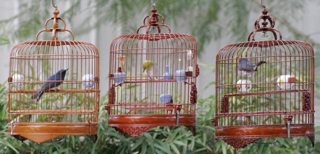 1920 chinese bird cages 1