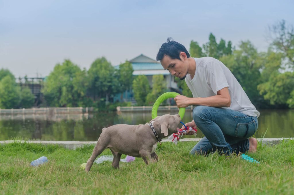 Man playing with happy puppy dog 